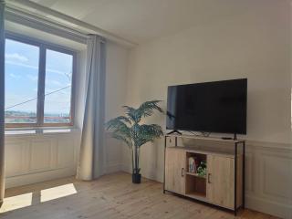 Vue Volcans Studio de Charme Thiers Centre - Thiers - 7