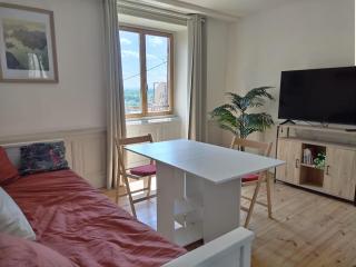 Vue Volcans Studio de Charme Thiers Centre - Thiers - 9