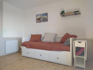 Vue Volcans Studio de Charme Thiers Centre - Thiers - 3