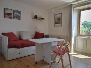 Vue Volcans Studio de Charme Thiers Centre - Thiers - 5
