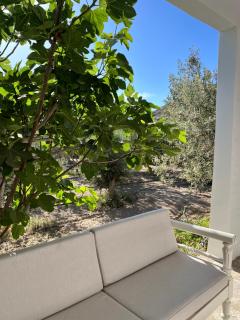 Olive and Stone - Kinion - 3