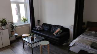 Vienna as it's best Apartment Kokoschka - Viena - 9