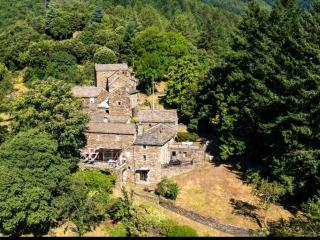 Les hôtes du châtaignier - - 4