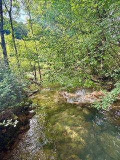 La Maison du Ruisseau - 6