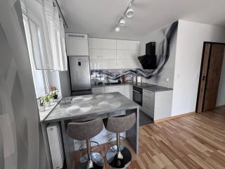 Apartament pod Dębami - Bielsko-Biała - 9