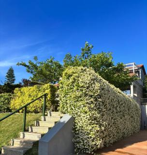 Villa Charneca, jardín y mar - Vigo - 9