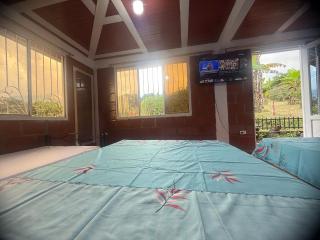 Habitacion Independiente 1 Vereda La Trina Libano Tolima - 3