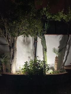 Green House - Praia a Mare - 3