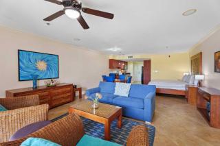 Golf Course View - Garden Studio condo - DR02 - Palm-Eagle Beach - 6