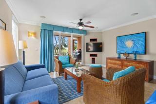 Golf Course View - Garden 1BR condo - DR01 - Palm-Eagle Beach - 5