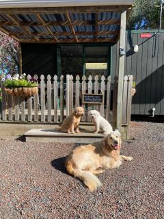 Willows Reach Lodge - Kumeu - 0