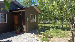 Cabaña Moderna para Desconectar - Puerto Aysén - 3