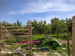 Ak Kuu Home - Kara-Talaa - 8