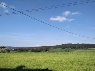 Can Fonsu Les Vermelles - Galliners - 8