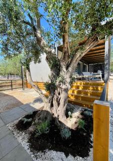 Casaneva - Biograd na Moru - 8