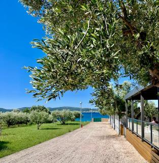 Casaneva - Biograd na Moru - 4