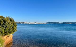 Casaneva - Biograd na Moru - 1