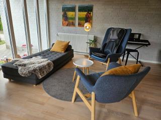 Modern, spacious villa with Sauna - 2