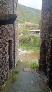 Prebeluna de ceve - Pieve di Teco - 4