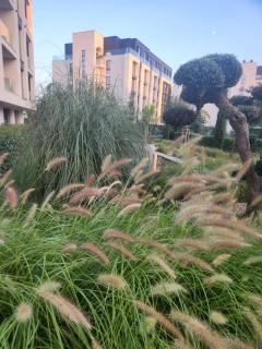 Walk to the beach - Varna - 5