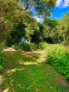Lime Tree House - Maguires Bridge - 5