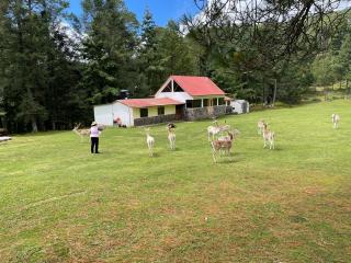 Rancho Ecológico El Mirador - Cedro - 5