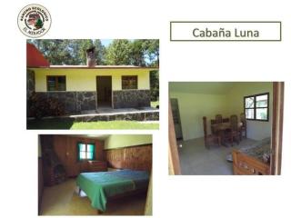 Rancho Ecológico El Mirador - Cedro - 3