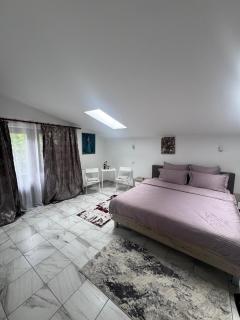 Rustic House - Cernica - 8