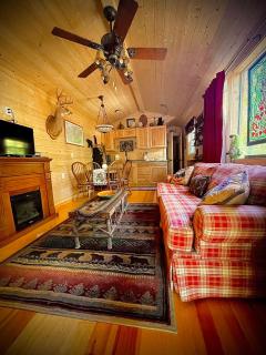 Little Bear Tiny Cabin - Cosby - 8