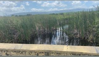 Sanxai Bnb- Homestay - Pond Side - 7