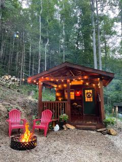 Little Bear Tiny Cabin - Cosby - 5