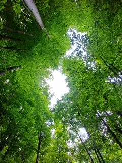 Nature Escape Tents - Kriva Palanka - 9