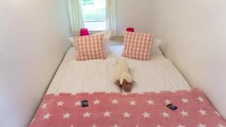 Seadrift Landliebste - 6