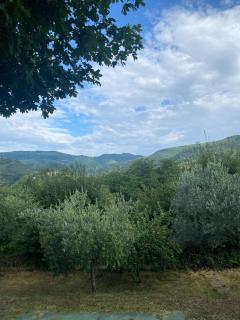 Apartment in ancient historic villa near Florence - Rufina - 7