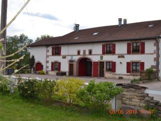 Gîte authentique avec terrasse couverte, 16 km de Gérardmer, 4 chambres, équipement bébé, Wi-Fi inclus - FR-1-589-231 - Aumontzey - 0