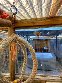 Sun-kissed Spa Retreat - Hastings - 9