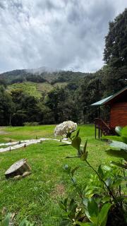 Entre Árboles Lodge - San Gerardo de Dota - 4