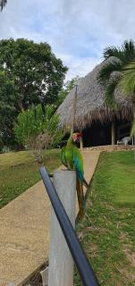Las Palmas - Espectacular casa a borde de lago con piscina - 8
