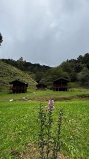 Entre Árboles Lodge - San Gerardo de Dota - 9