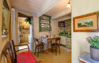 Pet Friendly Apartment - 7