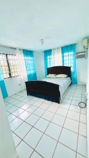 The Little Blue House - Arecibo - 4