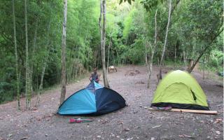 Campamento El Cedro - Santa Elena - 4
