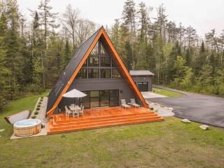 TreeTops Ayframe, Supersized AFrame on the River with Hot Tub - Indian River - 0