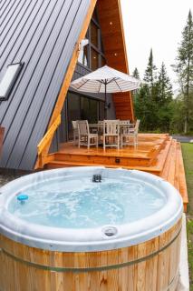 TreeTops Ayframe, Supersized AFrame on the River with Hot Tub - Indian River - 3