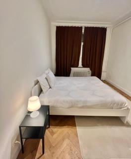 Luxury Bruxelles city center appartement - Mellet - 6