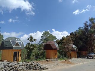 Habitación Hongo - Cedro - 3