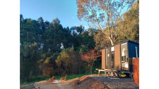 The Whistling Frog by Tiny Away - Neerim South - 0