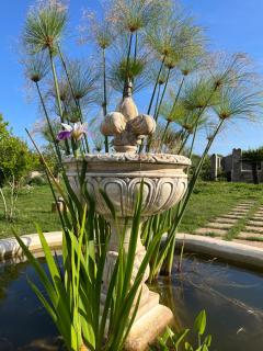 Mater Familias Oasis - Fanusa - 1