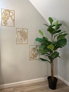 Charming Long Island Room - Farmingdale - 2