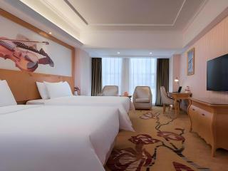 Vienna Hotel Henan Luoyang Jiudu Road Wanda - Luoyang - 1